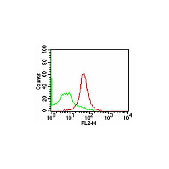 CD47 Phycoerythrin Antibody [B6H12]