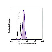 Anti-CD19 (MOUSE) Fluorescein Conjugated Monoclonal Antibody, 500µL, Liquid (sterile filtered)