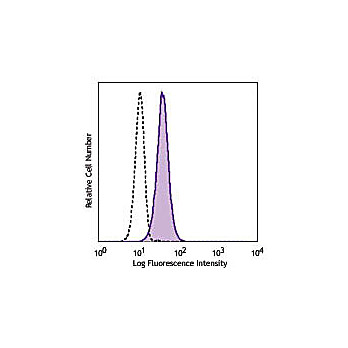 Anti-CD19 (MOUSE) Fluorescein Conjugated Monoclonal Antibody, 500µL, Liquid (sterile filtered)