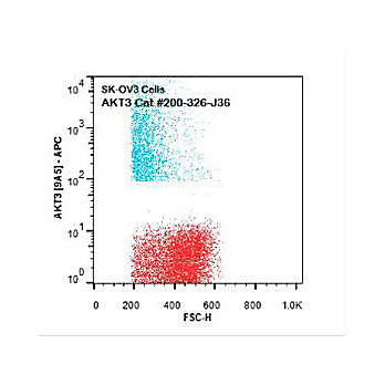 AKT3 [9A5.H9.G7] APC Antibody 50µg