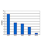 Anti-CBFb (RABBBIT) Antibody, 100µL, Liquid (sterile filtered)