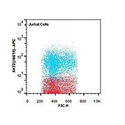 AKT2 [16G11] APC Antibody 50µg