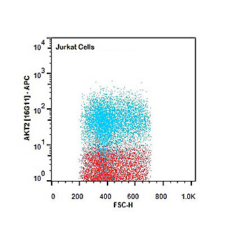 AKT2 [16G11] APC Antibody 50µg