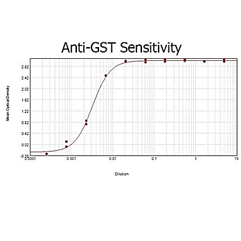 Anti-GST (GOAT) Antibody Biotin Conjugated, 1mg, Lyophilized