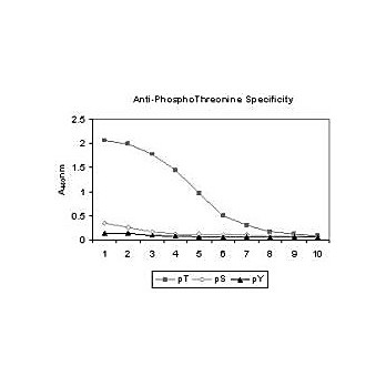 Anti-PhosphoThreonine (pT) Monoclonal Antibody, 100µL, Liquid (sterile filtered)