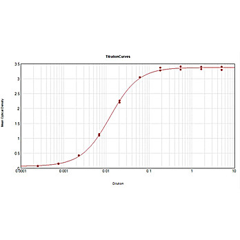 Anti-BIOTIN (RABBIT) Antibody, 100µg, Liquid (sterile filtered)