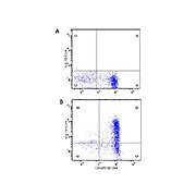 Anti-Human IL-6 (MOUSE) Monoclonal Antibody, 100µg, Liquid (sterile filtered)