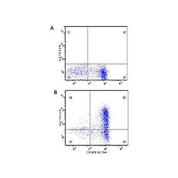 Anti-Human IL-6 (MOUSE) Monoclonal Antibody, 100µg, Liquid (sterile filtered)