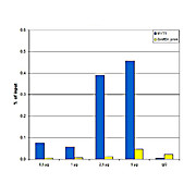 Anti-EZH2 (RABBIT) Antibody, 50µg, Liquid (sterile filtered)