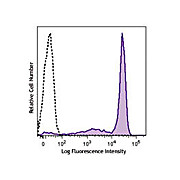 Ly-6G Phycoerythrin [RB6-8C5] 200µg