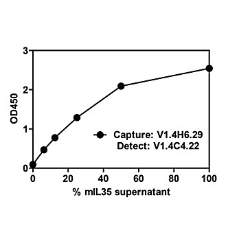 IL-35 EBI3 Biotin Antibody [V14C4] 100µg
