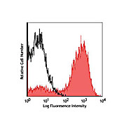 F4/80 Phycoerythrin Antibody [BM8] 100µg