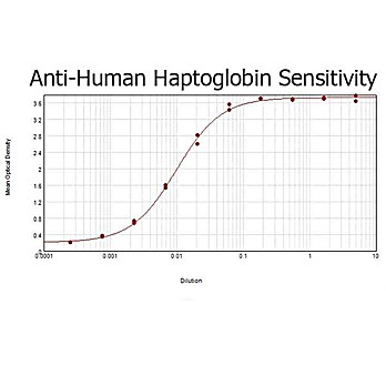 Anti-HUMAN HAPTOGLOBIN (RABBIT) Antibody, 1mg, Liquid (sterile filtered)