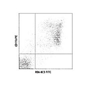 Ly-6G Fluorescein [RB6-8C5] 500µg