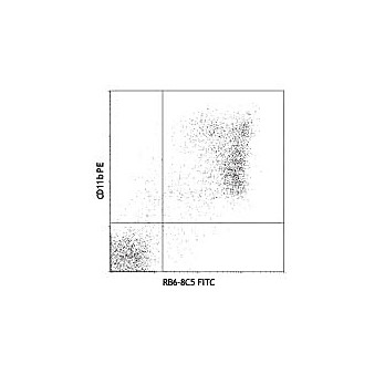 Ly-6G Fluorescein [RB6-8C5] 500µg