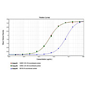 Anti-SARS-CoV Nucleocapsid (N) Protein (RABBIT) Antibody, 100µg, Liquid (sterile filtered)
