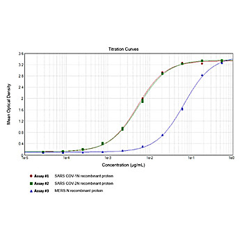 Anti-SARS-CoV Nucleocapsid (N) Protein (RABBIT) Antibody, 100µg, Liquid (sterile filtered)