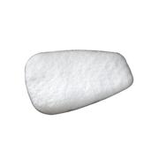 Particulate Filter, N95 Respiratory Protection