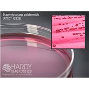Mannitol Salt Agar (MSA), for Staphylococcus