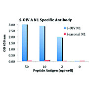 Anti-Swine H1N1 Neuraminidase (RABBIT) Antibody, 100µg, Liquid (sterile filtered)