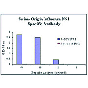 Anti-Swine H1N1 Nonstructural Protein 1 (RABBIT) Antibody, 100µg, Liquid (sterile filtered)