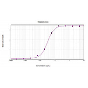 Anti-HUMAN IgG (H&L) (DONKEY) Antibody Peroxidase Conjugated, 2mg, Lyophilized