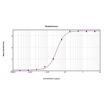 Anti-HUMAN IgG (H&L) (DONKEY) Antibody Peroxidase Conjugated, 2mg, Lyophilized