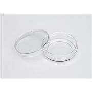 Glass Bottom Cell Culture Dishes