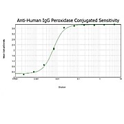 Anti-HUMAN IgG (H&L) (GOAT) Antibody Peroxidase Conjugated, 2mg, Lyophilized