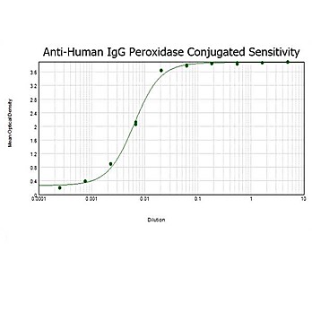 Anti-HUMAN IgG (H&L) (GOAT) Antibody Peroxidase Conjugated, 2mg, Lyophilized