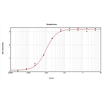 Anti-MOUSE IgG2b (Gamma 2b chain) (GOAT) Antibody Minimum Cross Reactivity to Bovine, Human, and Rabbit Serum Proteins, 1mg, Liquid (sterile filtered)