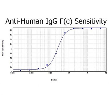 Anti-HUMAN IgG F(c) (RABBIT) Antibody Peroxidase Conjugated, 2mg, Lyophilized