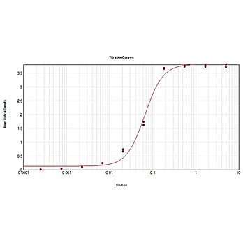 Anti-BOVINE IgG F(ab')2 (RABBIT) Antibody Alkaline Phosphatase Conjugated, 1mg, Liquid (sterile filtered)