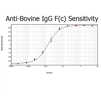 Anti-BOVINE IgG F(c) (RABBIT) Antibody, 2mg, Liquid (sterile filtered)