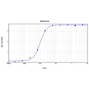 Anti-BOVINE IgG (RABBIT) Antibody Peroxidase Conjugated, 2mg, Lyophilized