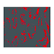 BANF1 nterm Antibody 100µg