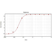 Anti-HORSE IgG (H&L) (RABBIT) Antibody, 2mg, Liquid (sterile filtered)