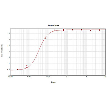 Anti-HORSE IgG (H&L) (RABBIT) Antibody, 2mg, Liquid (sterile filtered)