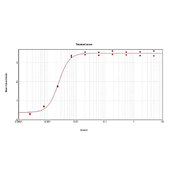 Anti-HORSE IgG (H&L) (GOAT) Antibody Peroxidase Conjugated, 2mg, Lyophilized