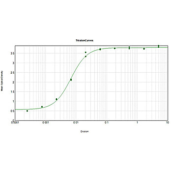 Anti-GUINEA PIG IgG (H&L) (DONKEY) Antibody Peroxidase Conjugated (Min X Bv Ch Gt Ham Hs Hu Ms Rb Rt & Sh Serum Proteins), 1mg, Lyophilized