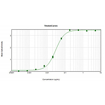 Anti-HUMAN IgG (H&L) (DONKEY) Antibody Alkaline Phosphatase Conjugated (Min X Bv Ch Gt GP Ham Hs Ms Rb Rt & Sh Serum Proteins), 1mg, Liquid (sterile filtered)