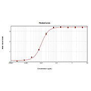 Anti-HORSE IgG F(ab')2 (RABBIT) Antibody Peroxidase Conjugated, 1.5mg, Lyophilized