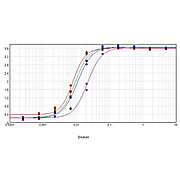 Anti-MOUSE IgG (H&L) (GOAT) Antibody Biotin Conjugated (Min X Bv Ch Gt GP Ham Hs Hu Rb Rt & Sh Serum Proteins), 1mg, Lyophilized