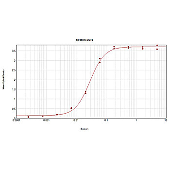 Anti-HUMAN IgG F(ab')2 (RABBIT) Antibody Biotin Conjugated, 2mg, Lyophilized
