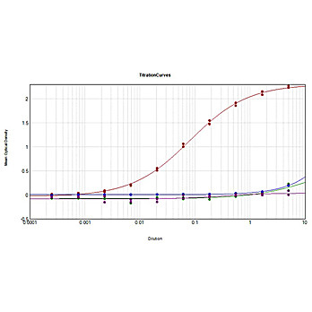 Anti-MOUSE IgG (H&L) (GOAT) Antibody (Min X Bv Ch Gt GP Ham Hs Hu Rb Rt & Sh Serum Proteins), 1mg, Liquid (sterile filtered)