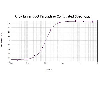 Anti-HUMAN IgG (H&L) (RABBIT) Antibody Peroxidase Conjugated, 2mg, Lyophilized