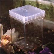 Magenta GA-7 Plant Culture Box w/ Lid, 100 Unit(s)