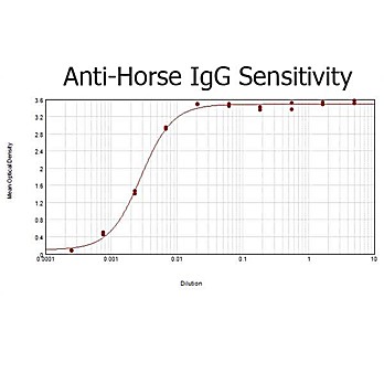 Anti-HORSE IgG (H&L) (RABBIT) Antibody Peroxidase Conjugated, 2mg, Lyophilized