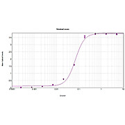 Anti-GUINEA PIG IgG (H&L) (RABBIT) Antibody Alkaline Phosphatase Conjugated, 1mg, Liquid (sterile filtered)