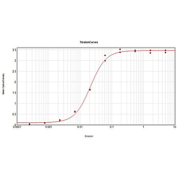 Anti-CHICKEN IgG (H&L) (GOAT) Antibody, 2mg, Liquid (sterile filtered)